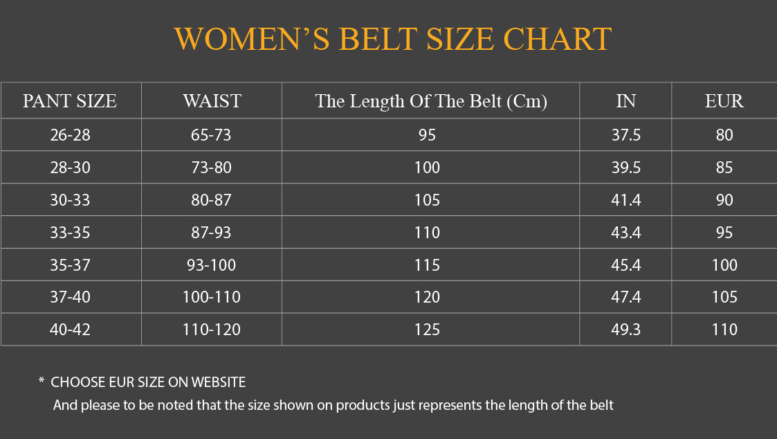 Ce1i*e Triomphe Belt Brown For Women