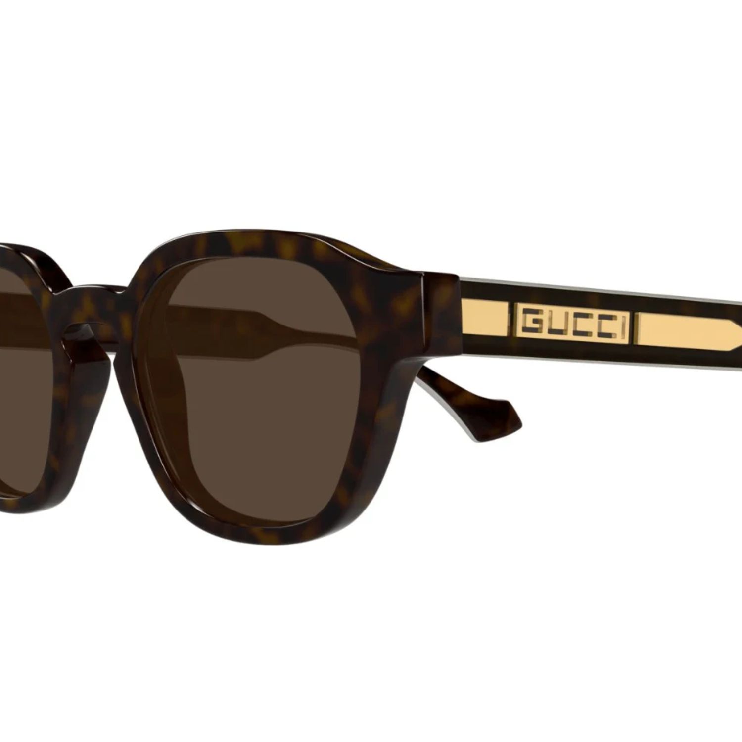 Gvc*1 Tortoiseshell Round Sunglasses